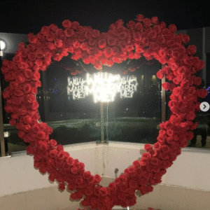 Heart Backdrop Proposal